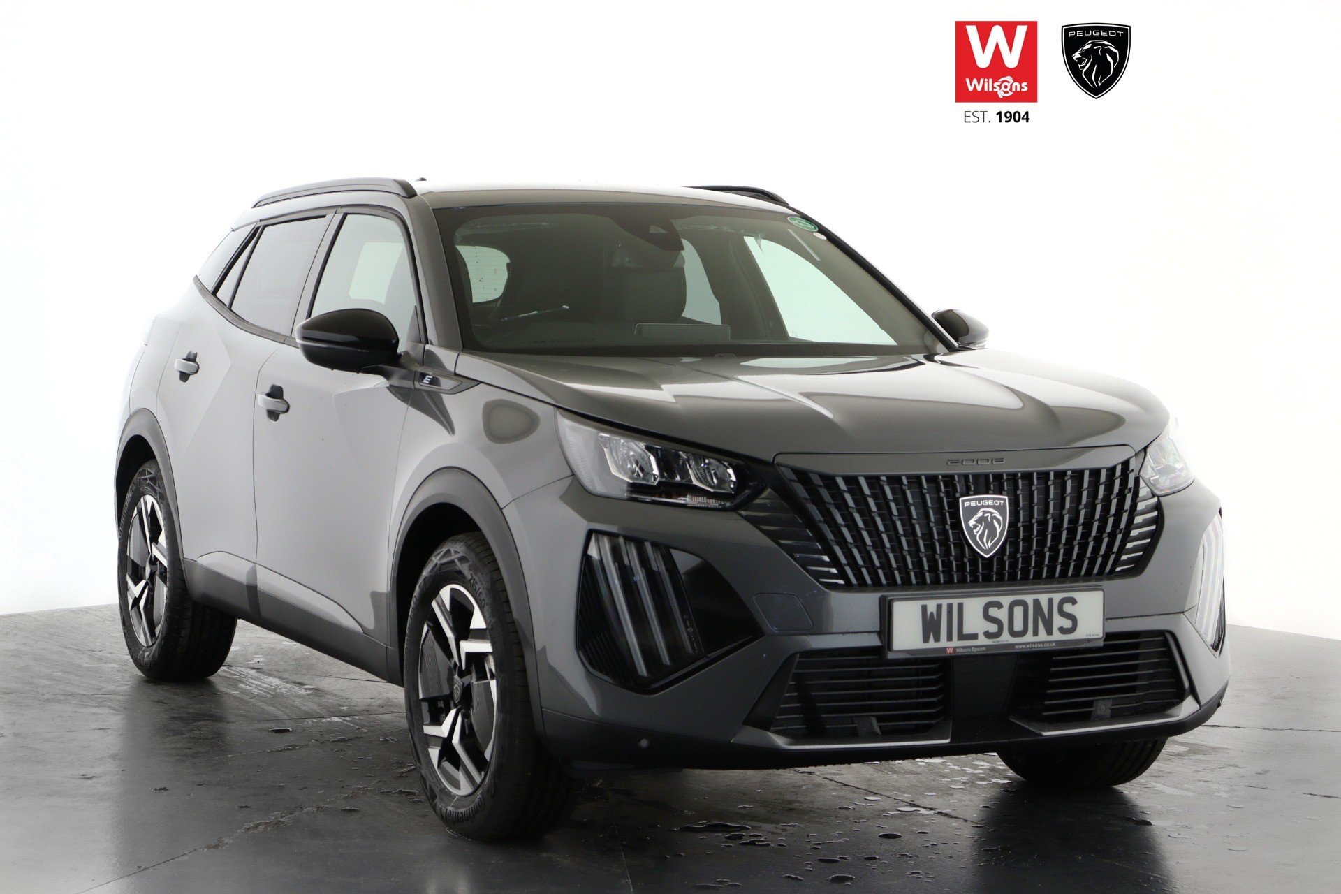 Peugeot 2008 electric for sale discount