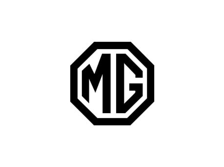 MG Terms and Conditions