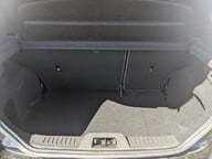 Ford Fiesta ST-3 17