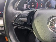 Skoda Octavia SE L TSI 19