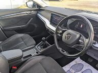 Skoda Octavia SE L TSI 4