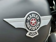 Harley-Davidson Softail 1690 FLSTFB Fat Boy Special 4