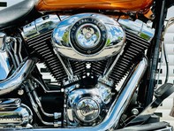 Harley-Davidson Softail 1690 FLSTF Fat Boy 19