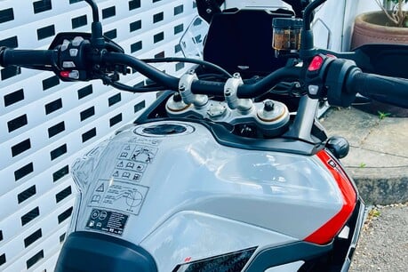 Triumph Tiger 900 Tiger 900 Rally Pro 24 9