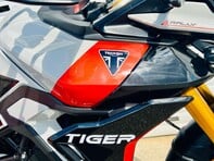 Triumph Tiger 900 Tiger 900 Rally Pro 24 14