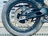 Triumph Tiger 900 Tiger 900 Rally Pro 24 16