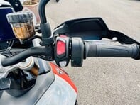 Triumph Tiger 900 Tiger 900 Rally Pro 24 23