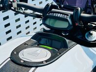 Ducati Diavel Diavel Carbon White 14