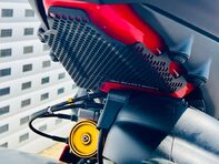 Ducati Panigale V4 Panigale V4S 14