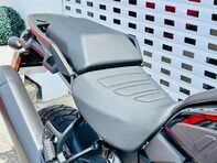 Harley-Davidson Pan America 1250 RA1250S Special 19