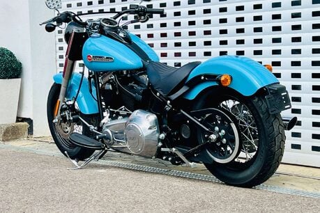 Harley-Davidson Softail 1690 FLS Slim Euro 4 9