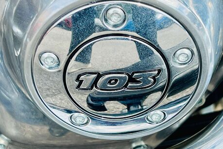 Harley-Davidson Softail 1690 FLS Slim Euro 4 14