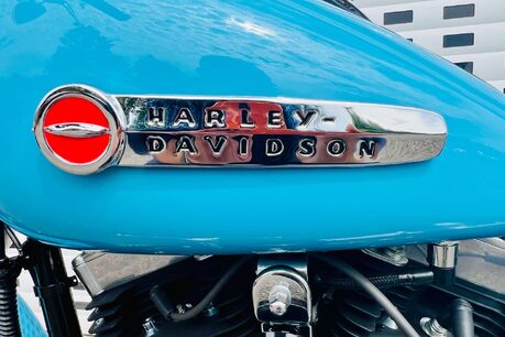 Harley-Davidson Softail 1690 FLS Slim Euro 4 29