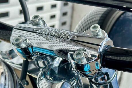Harley-Davidson Softail 1690 FLS Slim Euro 4 40