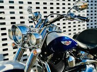 Harley-Davidson Softail Duluxe 1.3 FLSTN 12