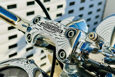 Harley-Davidson Softail Duluxe 1.3 FLSTN 17