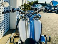 Harley-Davidson Softail Duluxe 1.3 FLSTN 13