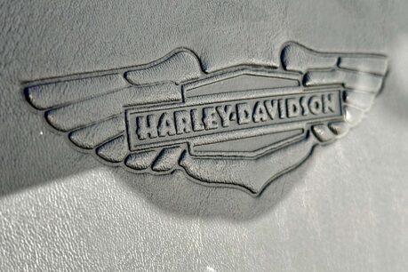 Harley-Davidson Softail Duluxe 1.3 FLSTN 28