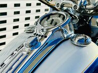 Harley-Davidson Softail Duluxe 1.3 FLSTN 29