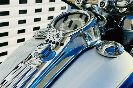 Harley-Davidson Softail Duluxe 1.3 FLSTN 29