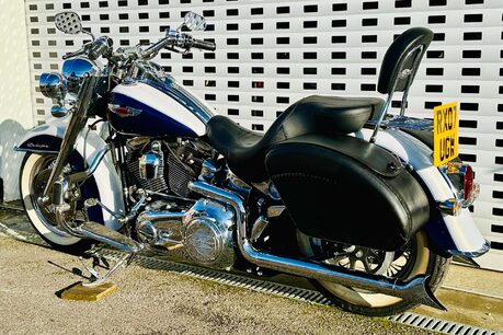 Harley-Davidson Softail Duluxe 1.3 FLSTN 8