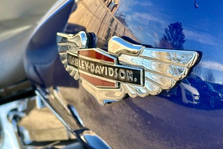 Harley-Davidson Softail Duluxe 1.3 FLSTN 6