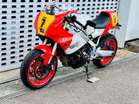 Yamaha XSR900 XSR 900 GP (MTM890D) 16