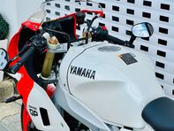 Yamaha XSR900 XSR 900 GP (MTM890D) 23