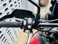 Triumph Tiger 900 0.9 Tiger 900 GT Pro 15
