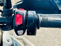 Triumph Tiger 900 Tiger 900 Rally Pro 21