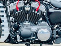 Harley-Davidson 1200 Sportster Forty-Eight 31