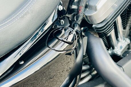 Harley-Davidson 1200 Sportster Forty-Eight 15