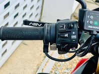 Aprilia Tuono Tuono V4 1100 Factory 15