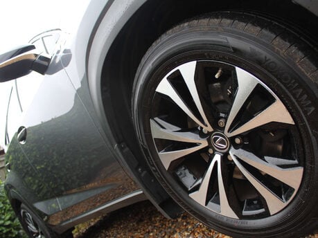 Lexus NX 2.5 NX 300h CVT 4WD 5dr 