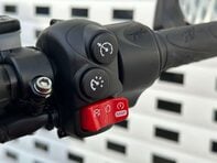 MV Agusta Dragster 0.8 Dragster Rosso 30