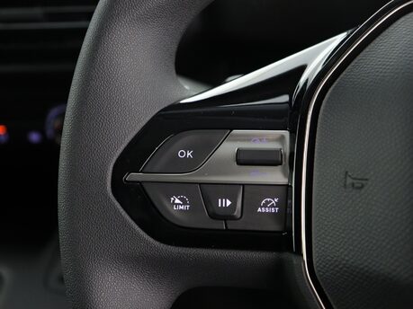 Peugeot Partner PV Long 1.5 BlueHDi 100 Asphalt MT6 19