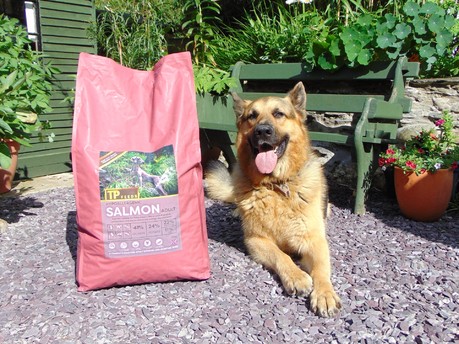 Real food for your four-legged best friend