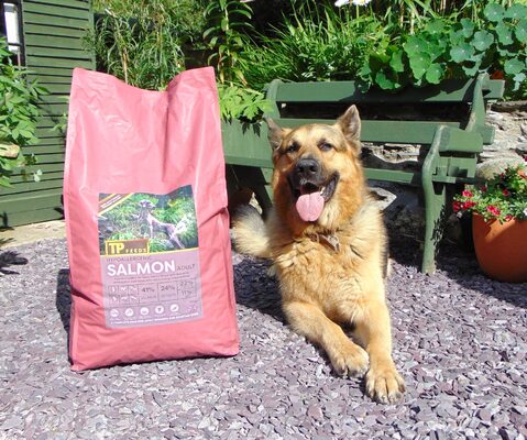 Real food for your four-legged best friend