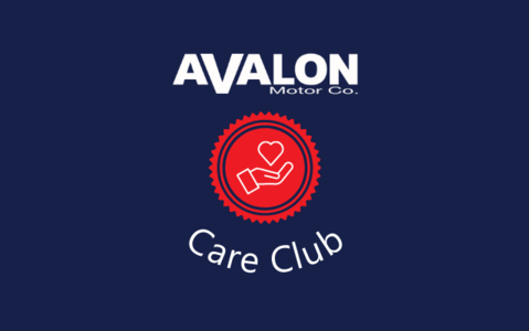 Avalon Care Club 