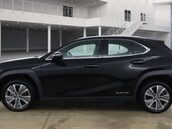Lexus Ux UX 300E 5dr 7
