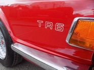 Triumph TR6 150bhp 24