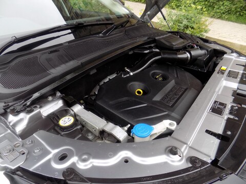 Land Rover Range Rover Evoque SI4 DYNAMIC LUX 21