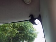 Mini Cooper 3 Door Hatchback 29