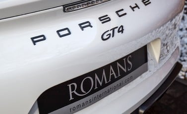 Porsche Cayman GT4 11