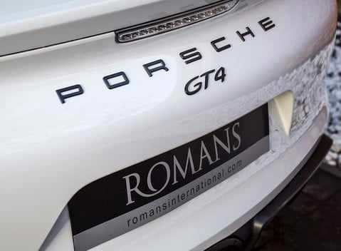 Porsche Cayman GT4 11