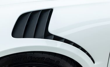 Porsche 911 (991) GT3 RS 21