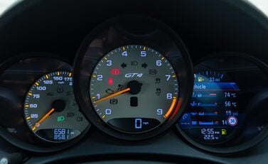 Porsche Cayman GT4 (718) 21