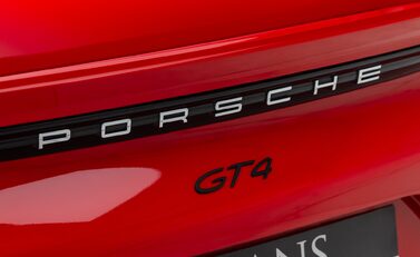 Porsche Cayman GT4 (718) 32
