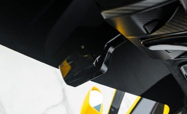 McLaren Senna GTR LM 29