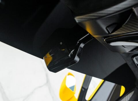 McLaren Senna GTR LM 29